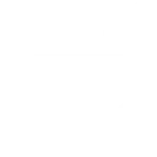 Decoding the Web: A Dive into DNS Analysis