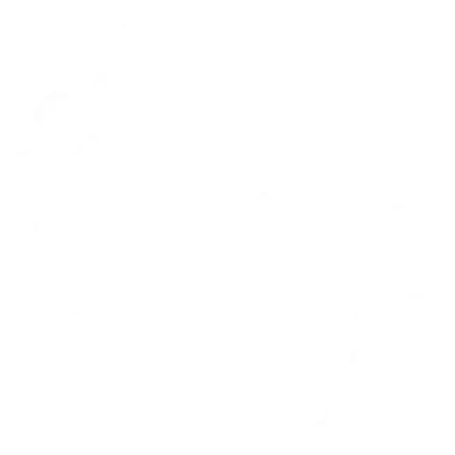 android_ios_native_app_development