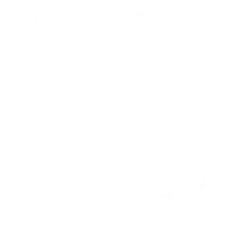 Database Connectors: Bridging the Gap Between Applications and Data