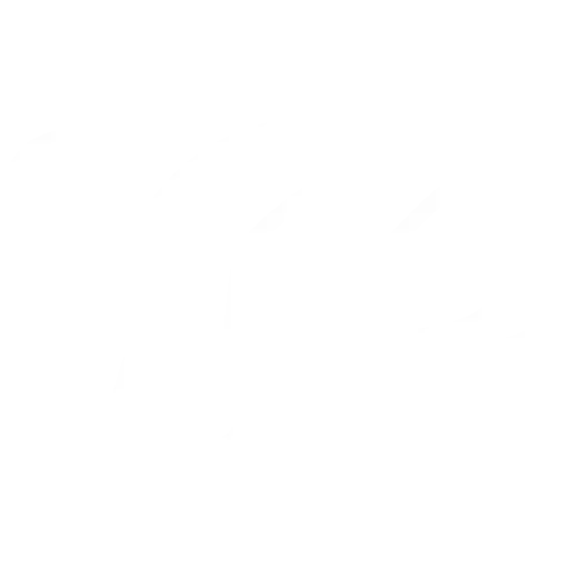 TortoiseSVN: Simplifying Version Control